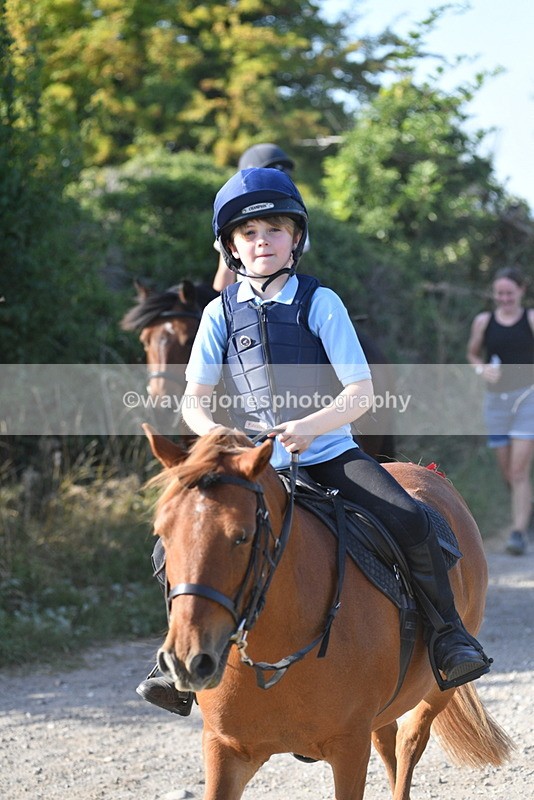 WJ5_5047 - Walk out with the hounds