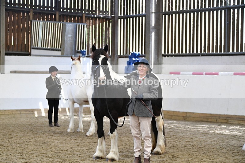 WJ5_5111 - Class 7 In hand coloured / odd coloured