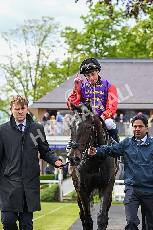 150526-Race 7-Portcullis-8871 - Race 7 5.15pm Darley EBF 'Confined' Novice Stakes