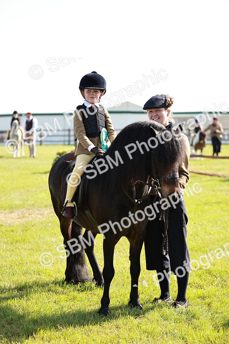 SBM_11331 - Class 106-107 - BSPS LIHS Working Sports Pony