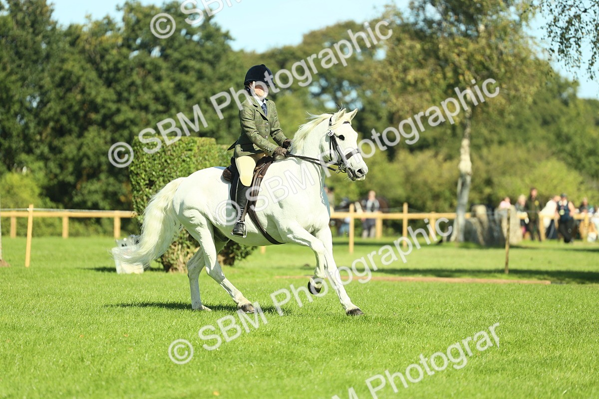 SBM_39169 - S29 - Novice & Newcomers Working Hunter Pony