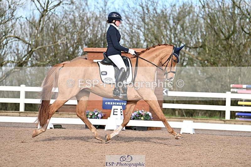 240218A-114130-06803 - 272-Beth.Bainbridge-Newton.Dreamcatcher