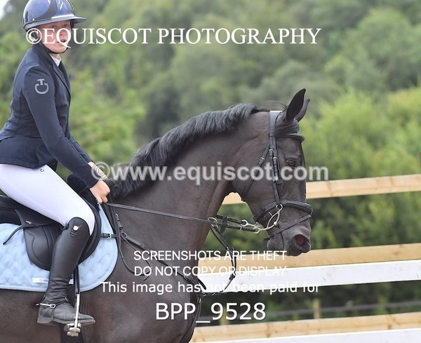 BPP_9528 - CLASS 7 Senior Newcomers/ 1.10m OpenSenior Newcomers/ 1.10m Open