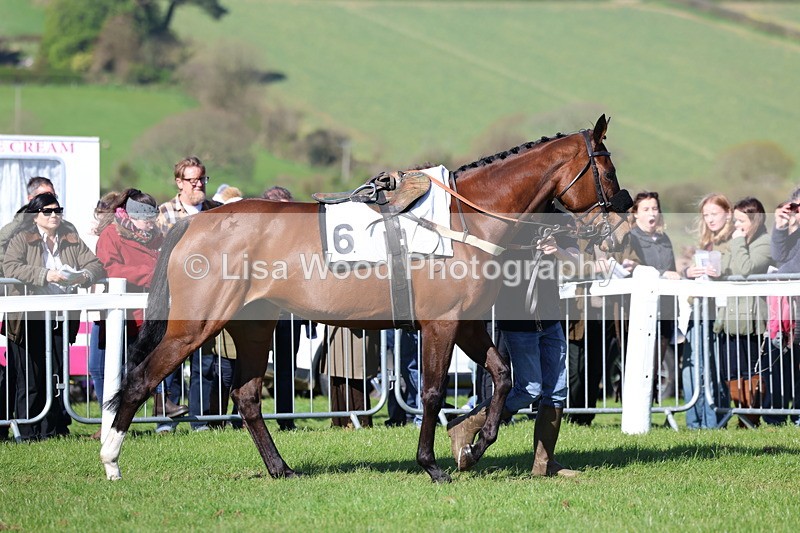 3E7A5576 - Race 6: Maiden (NWFAA)