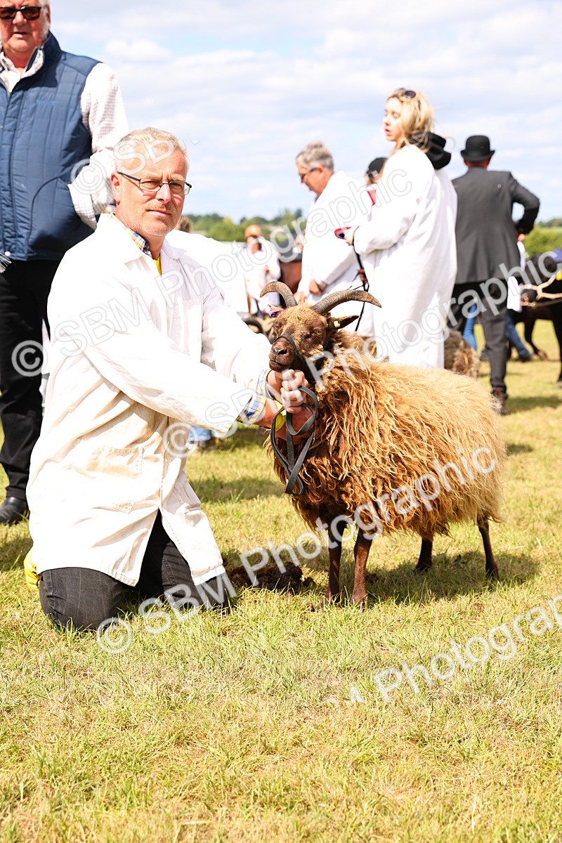 SBM_16980 - Grand Parade