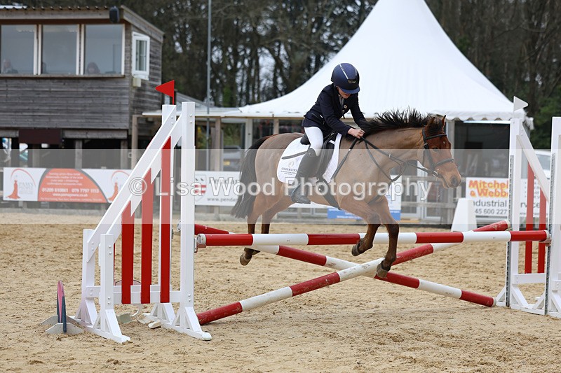 3E7A8415 - Class 13: Pony British Novice/80cm open