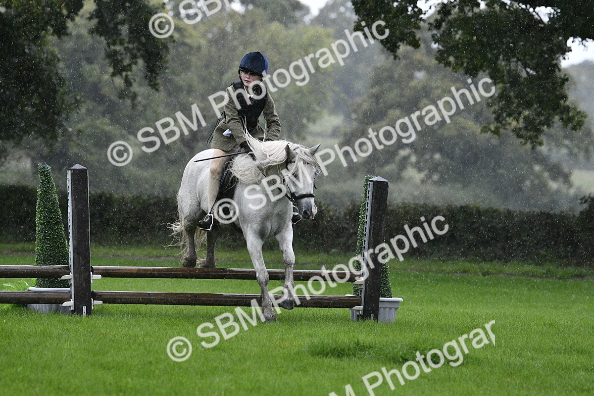 SBM_37115 - S31 - Novice & Newcomer Working Hunter Pony