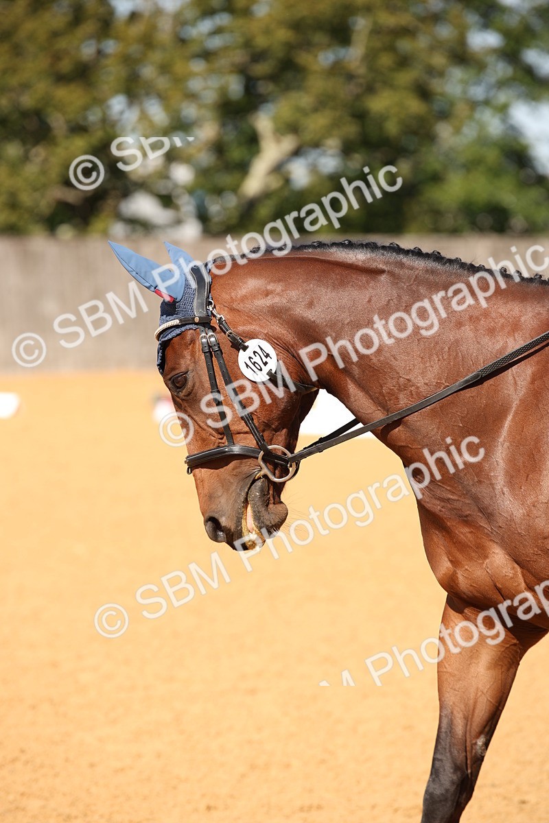 SBM_21685 - D5 - Small Tour Championship - Intro C