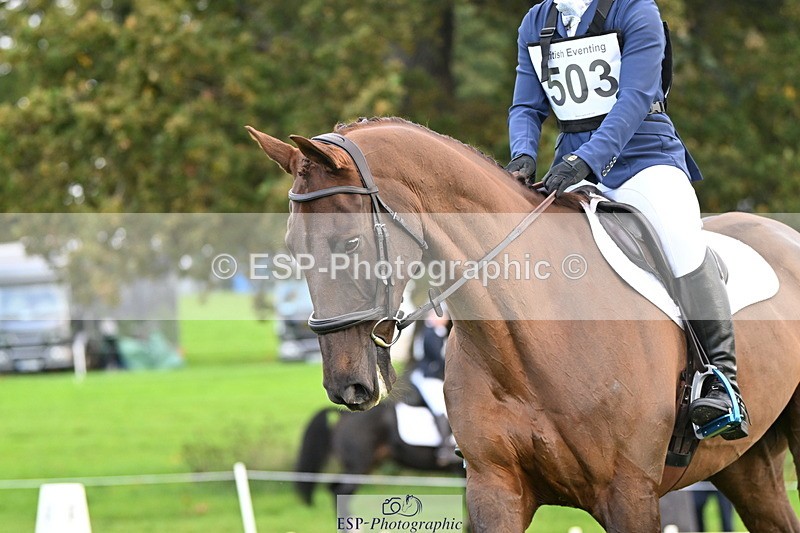 251023A-100746-02371 - G-503-Bethan.ODell