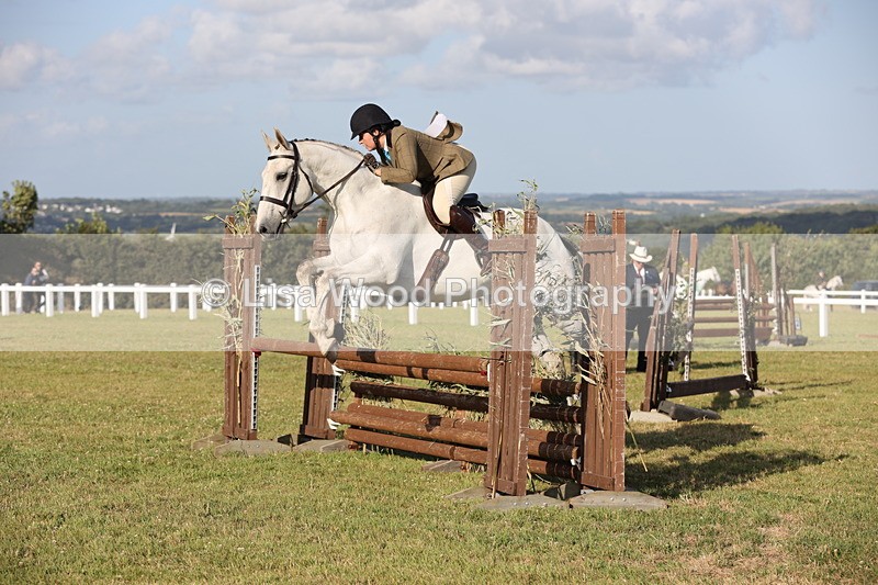 JPP_3478 - Class 22: Working Hunter 90cm