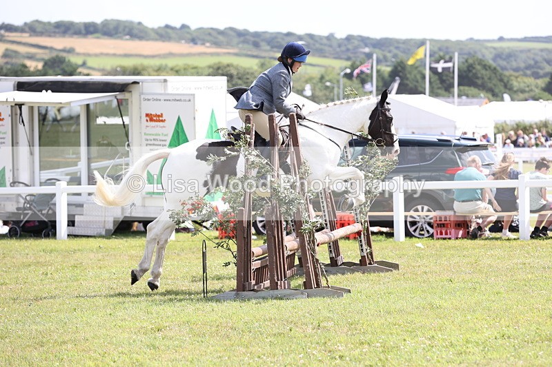 JPP_2207 - Class 19: Working Hunter 60cm