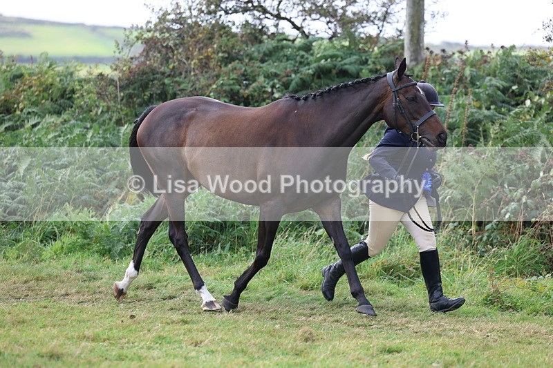 3E7A5645 - In Hand Championship