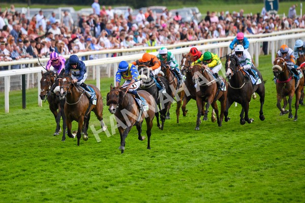 170623-Race 7-The Green Man-0992 - Race 7 5.25pm Clean Up With PPS Handicap