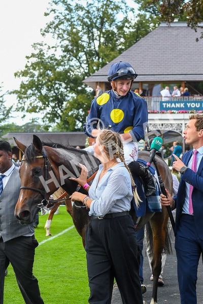 240823-Race 5-Sea Theme-0714 - Race 5 4.10pm British EBF & Sir Henry Cecil Galtres Stakes