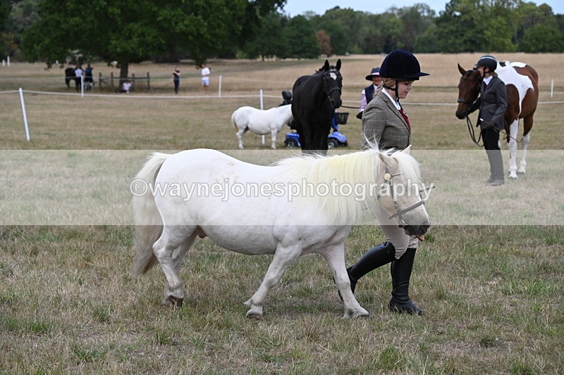WJ6_6132 - Class 19 In-hand Veterans (Uploaded correct folder)
