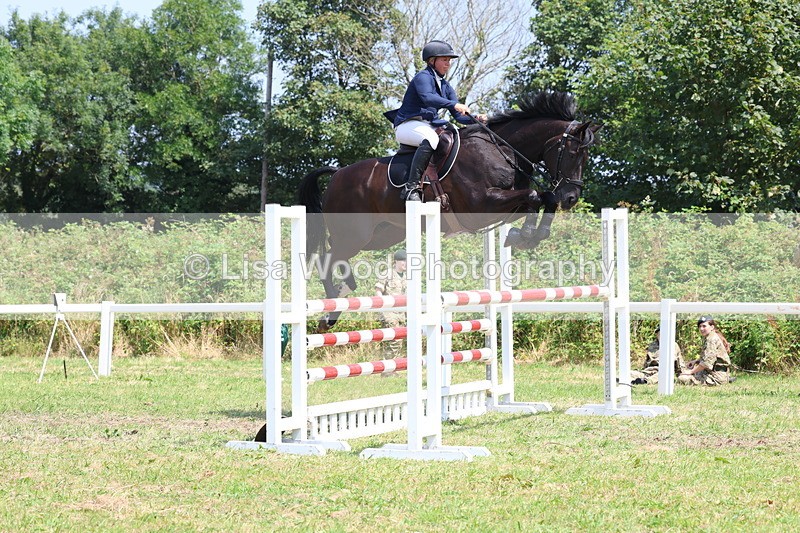 3E7A3370 - Class 10: Senior Foxhunter/1.20 open