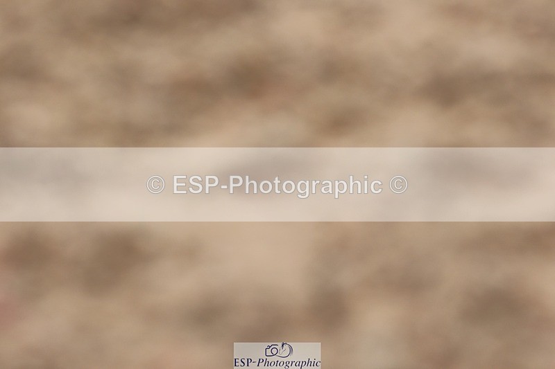 250622-145528-17249 - Cls 53 Medium 5, 14.50 to End