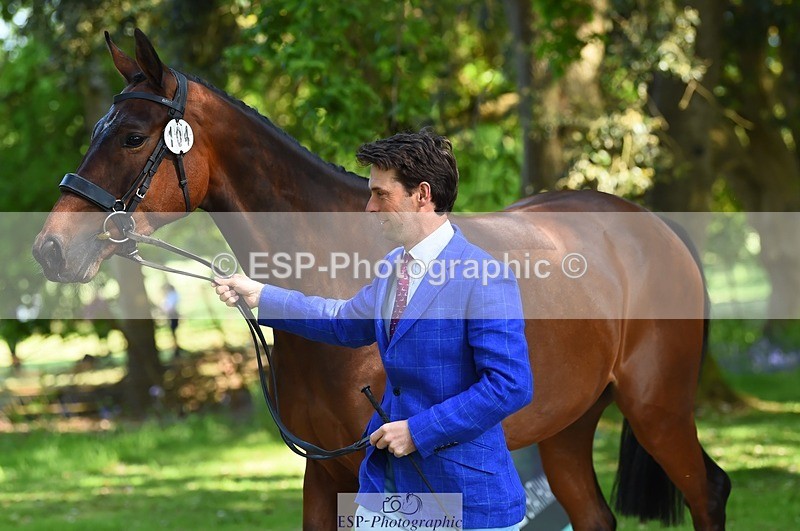 230524-162932-00905 - 104-GALAKIS_DE_L'OCEAN-Harry_Meade-WEDTrotUp+DR