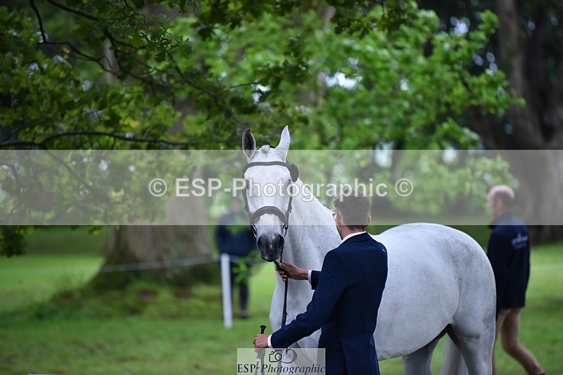 240522-160842-00738 - 156-JAG_WOMANIZER_LADY-Beatrice_Montgomerie