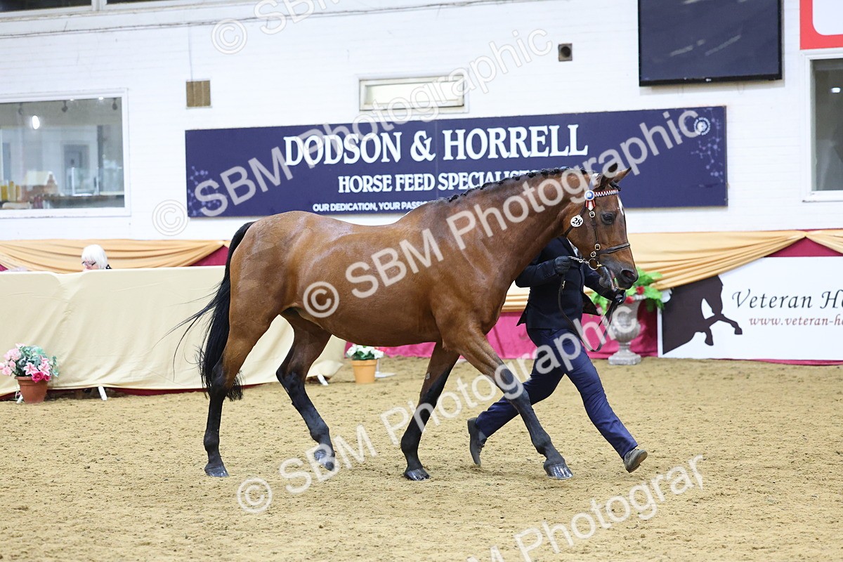 SBM_19710 - Class 901 - Supreme Final - IH Diamond