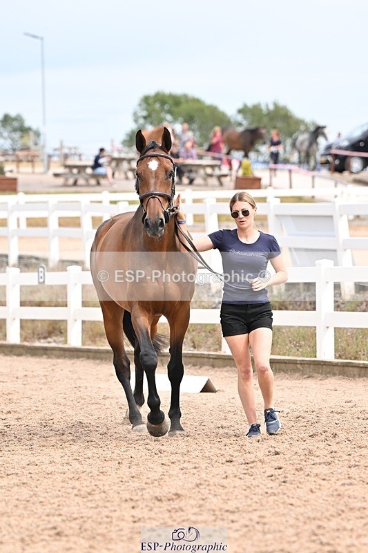 250716-153357-02018 - Trot Up 3.30 to 4.30