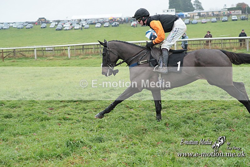 PtP 031223 356 - Wheatland Hunt PtP Chaddesley Races 03/12/23