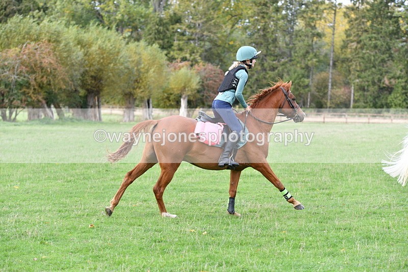 WJ5_0433 - Time 13:59 to 14:28