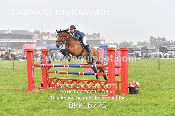 BPP_6775 - CLASS 2 RHS Classic Champ Qual (1.20m)