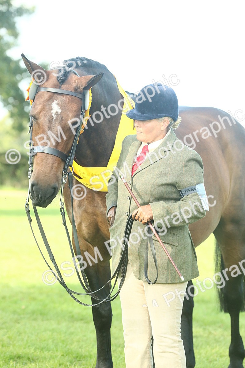 SBM_61134 - Starter Supreme Championship