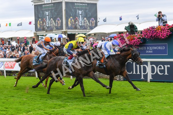 240823-Race 3-Ropey Guest-0389 - Race 3 3.00pm Clipper Handicap