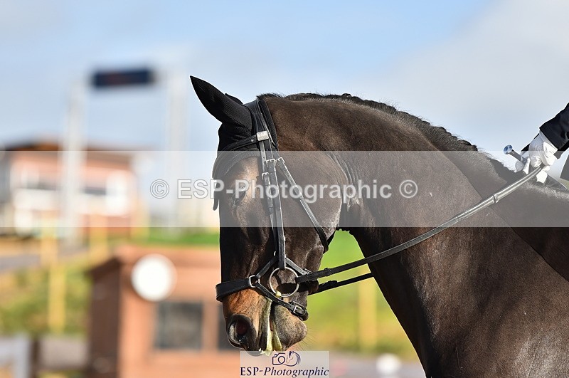 231104A-110944-01473 - Cls 5 Novice 37A