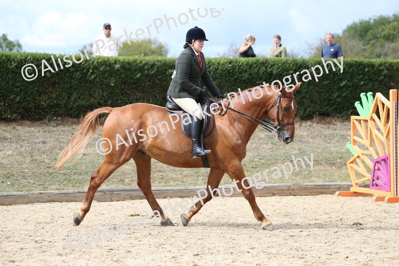 20260831-2711 - Class 16 and 17- Ridden Cob and Hunters