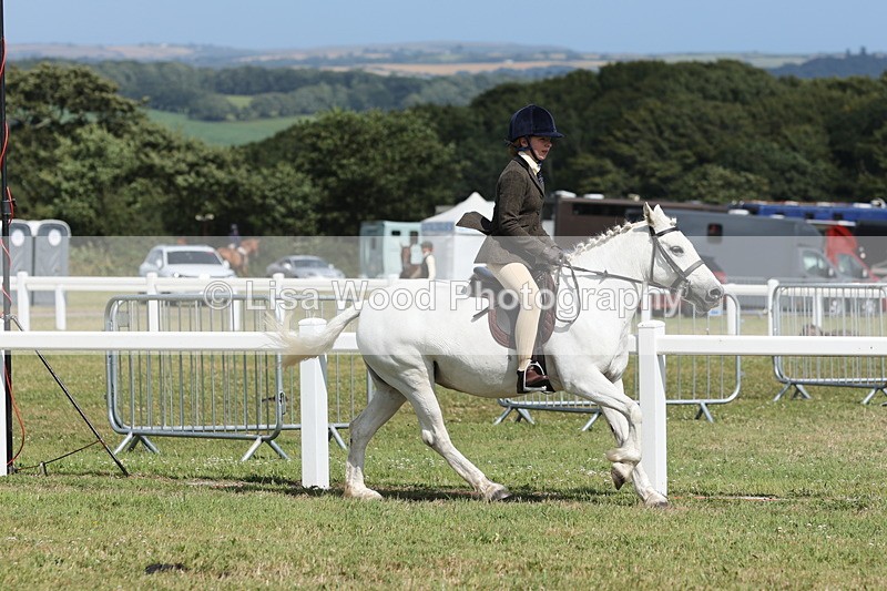 JPP_2284 - Class 19: Working Hunter 60cm