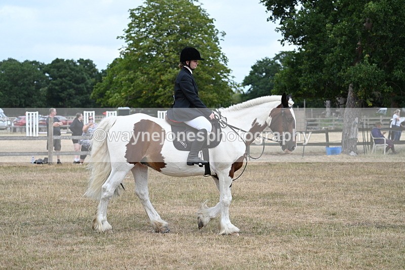 WJ7_1343 - Class 8 Ridden Veterans