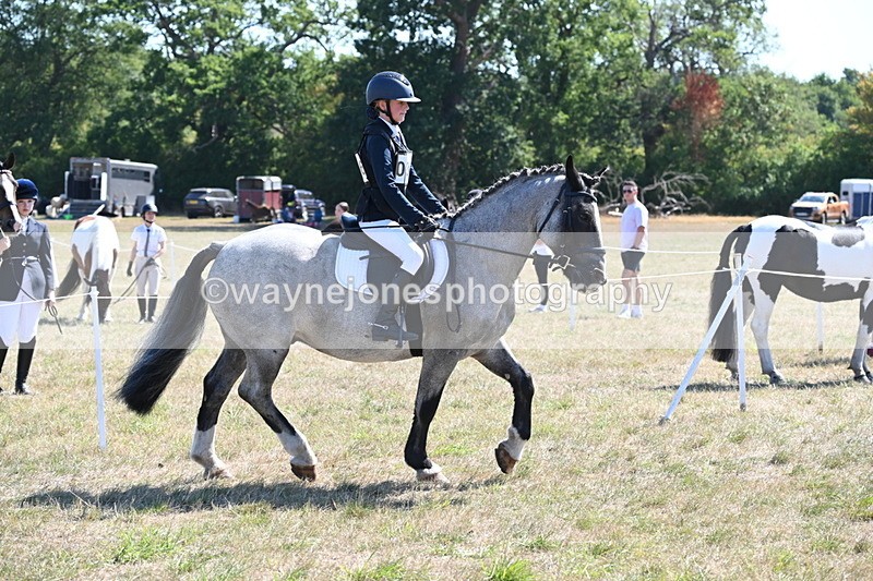 WJ6_8303 - Class 37a Best Loan Pony Ridden