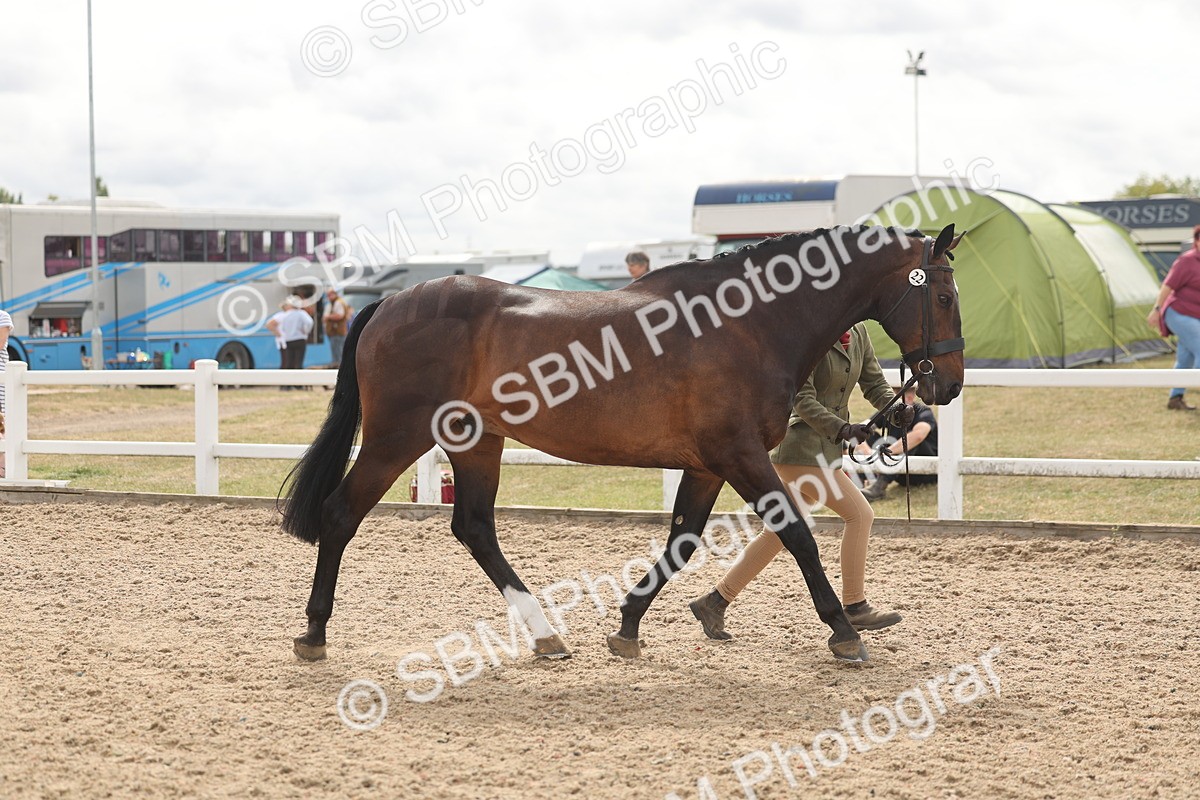 SBM_04991 - Class 20 - IH Veteran