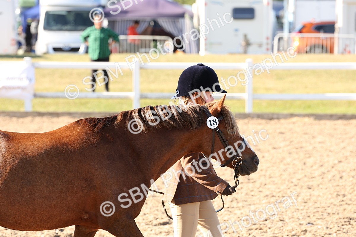 SBM_11668 - Class 203 - Young Handler 11 to 16 years