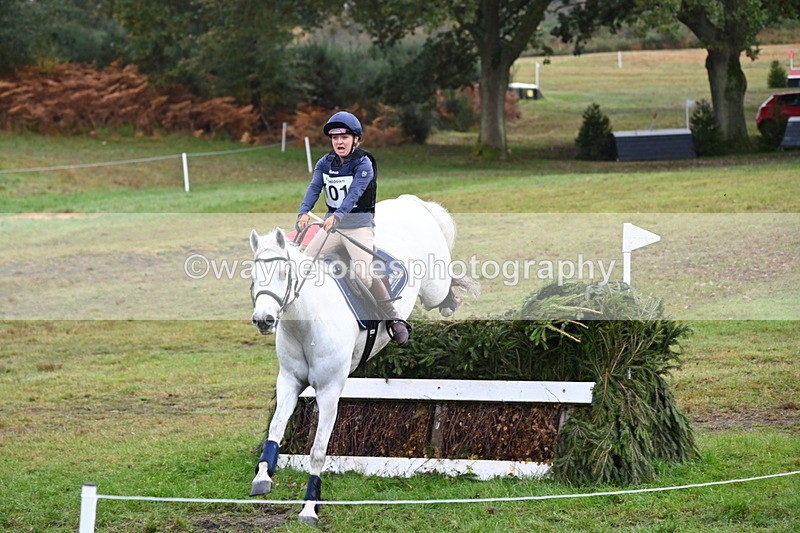 WJ6_1631 - 80cm Cam 1 Time 10:08 to 10:45