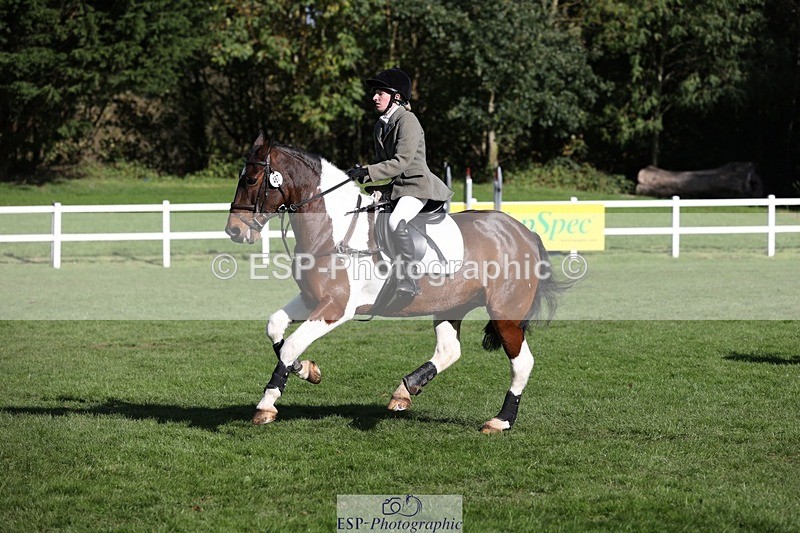 231022-125920-27447 - 467-WELLSHEAD.SQUIGGLE-Emily.Illing-TrotUp+SJ