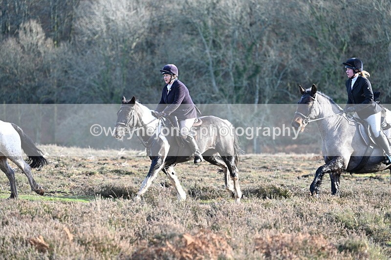 WJ7_7969 - Line 3 (no line 4 or 5)