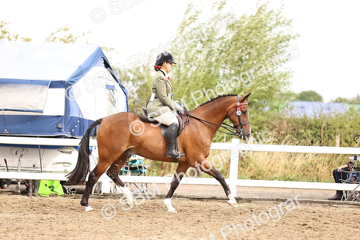 SBM_00703 - Class 53 - Ridden Competition Horse Pony