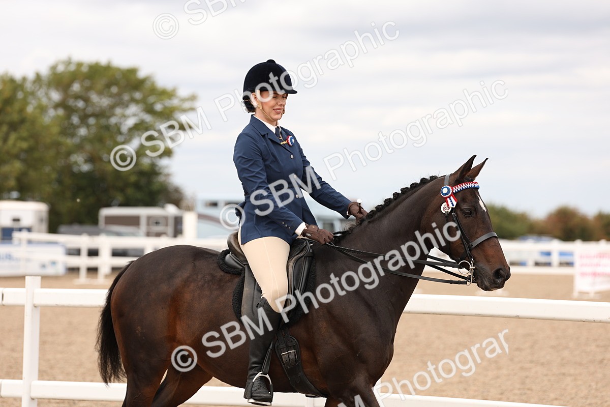 SBM_17296 - Class 214 - Ridden Hack Riding Horse