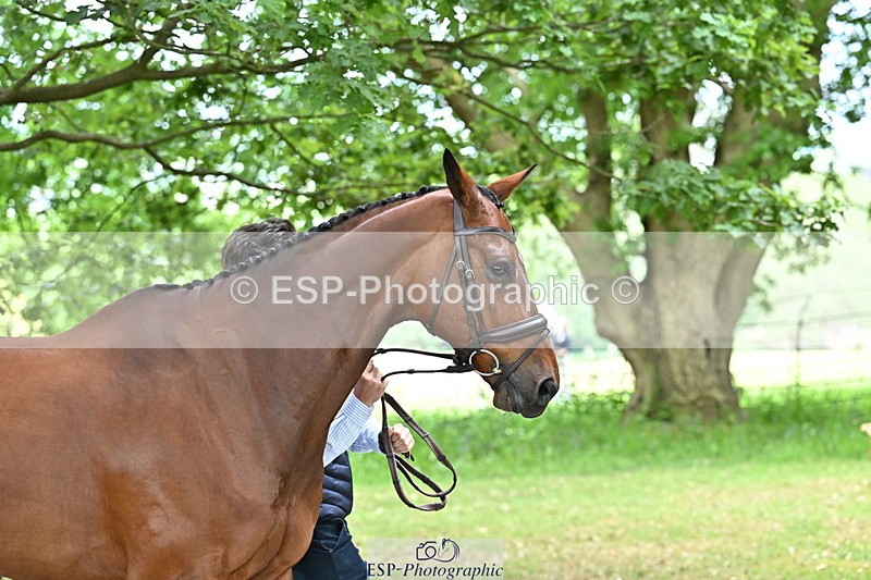 250521A-144500-00209 - A-058-Baptiste.Dehoorne-FAST.AND.DEVIL