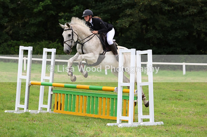 3E7A7085 - Class 5: Senior British Novice/90cm open