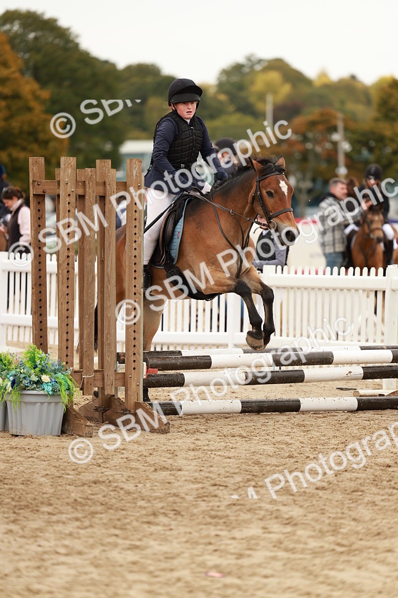 SBM_57882 - J11 - Junior Pony 50cm Championship