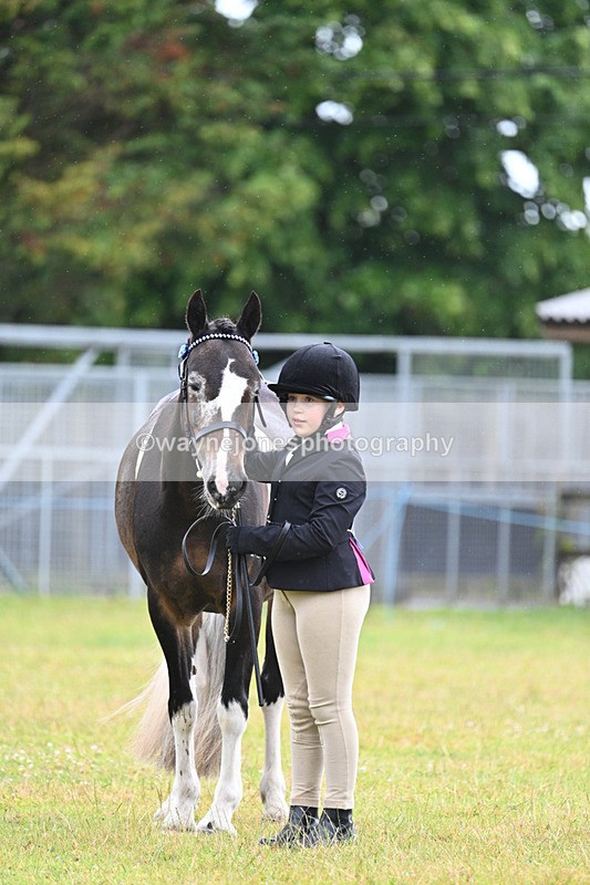 WJ7_5870 - Class 4 Prettiest Mare in Hand