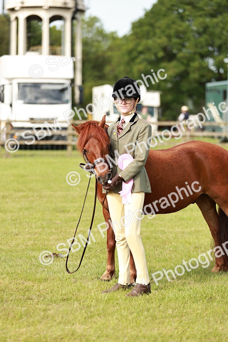 SBM_00563 - Class 14-23 - Mountain & Moorland In Hand Non Welsh