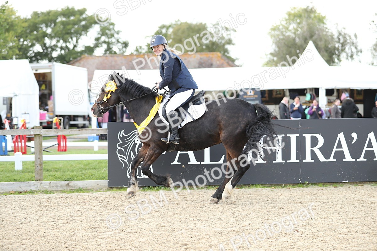 SBM_06576 - J29 - Senior Horse & Pony 65cm Championship