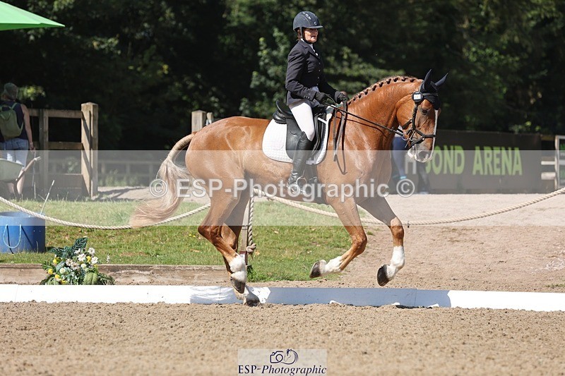 240719-103905-00754 - 223-Deborah_Randall-Sandy's_Bertie