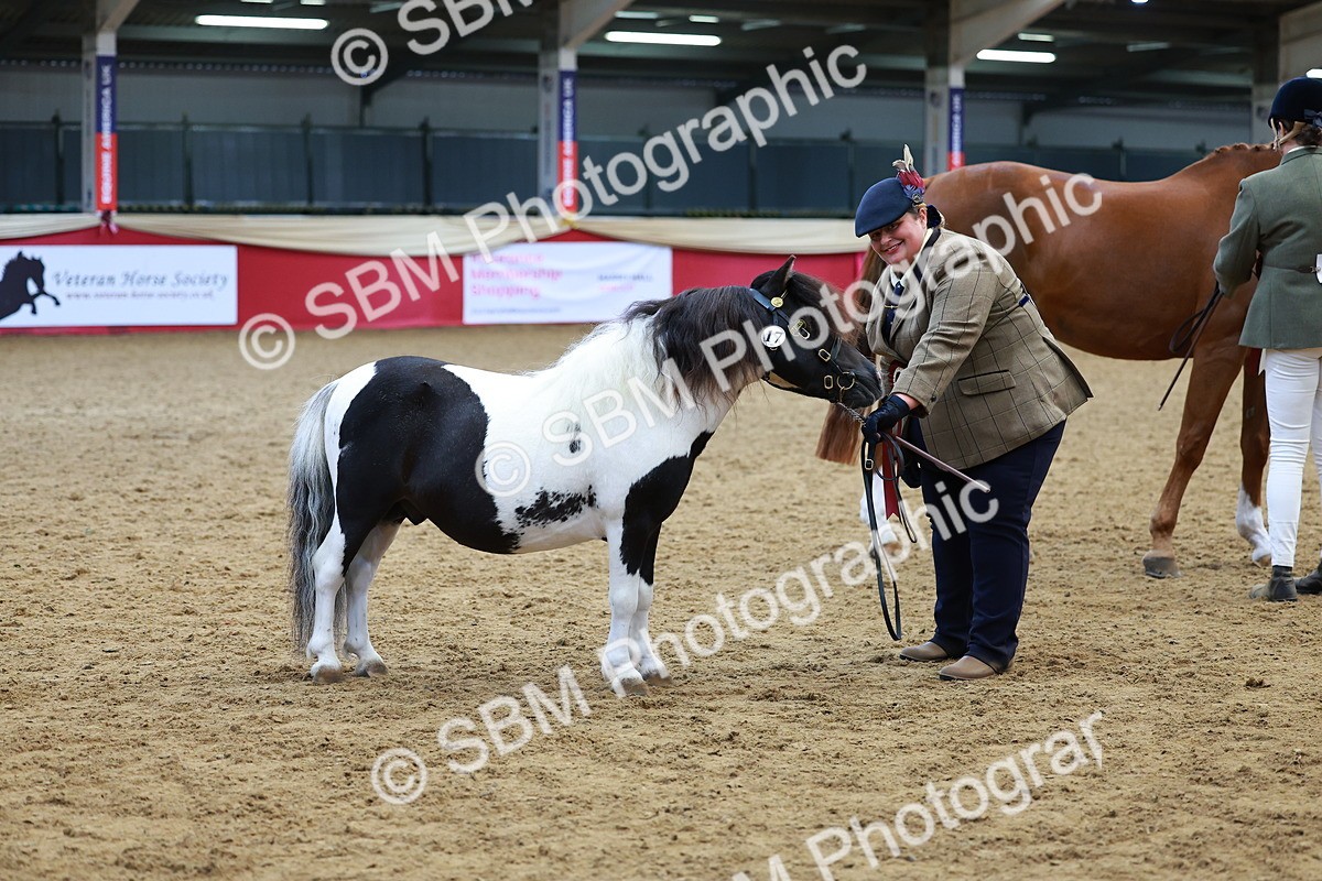 SBM_04349 - Class 9R - IH Pre-Vet